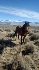 A horse stands in a natural landscape with mountains in the background.