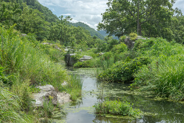 Fototapeta premium 小川のある風景－埼玉県秩父郡長瀞町 