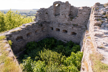 Ancient Ruins Overgrown with Vegetation in a Scenic Landscape
