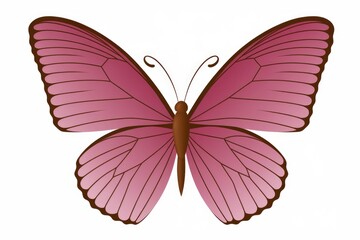 Obraz premium A pink butterfly with brown veins on its wings isolated on a white background.