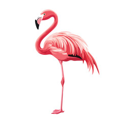 Flamingo Vector Logo Design Template for Graphic Projects