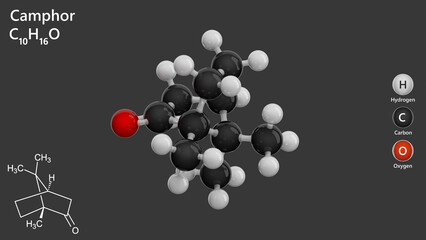 Molecule: Camphor. Anti-infective agent. Molecular structure. Formula: C10H16O. Chemical model: Ball and stick. Gray background. 3D illustration.