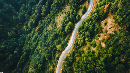 Winding Road Through Lush Green Hills