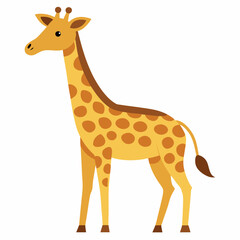Obraz premium giraffe isolated on white