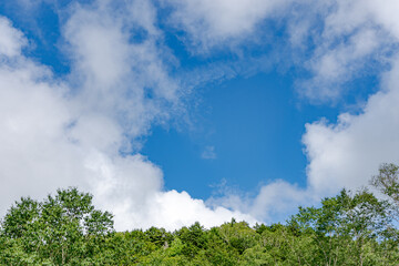 Obraz premium 緑と青空と白い雲 