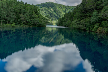 Fototapeta premium 鳥居の映える大沼池－長野県下高井郡山ノ内町 
