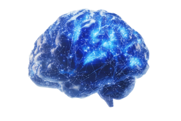 A low-poly brain with neural pathways represented by glowing blue patterns, on a white background