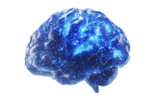 A low-poly brain with neural pathways represented by glowing blue patterns, on a white background