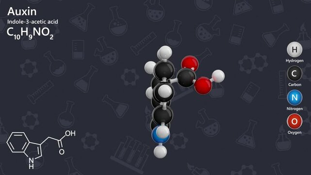 Auxin or Indole-3-acetic acid. Plant hormone. Animated 3D model of a molecule. Molecular formula: C10H9NO2. Chemical model: Ball and stick. Dark background. 3D rendering. Seamless loop.
