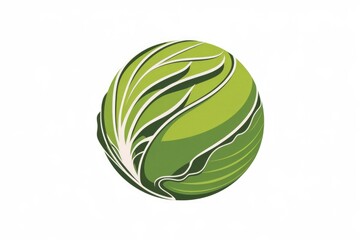 Fototapeta premium A green cabbage a leafy vegetable with a round shape.
