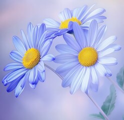 Naklejka premium Vibrant blue and yellow daisy flowers in bloom