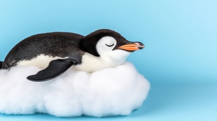 Fototapeta premium Adorable Penguin Sleeping on a Cloud Cute Animal Photography