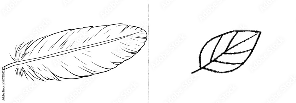 Poster a continuous line drawing of a bird feather in a modern style.