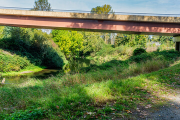 Under River Bridge 6