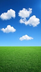 Fototapeta premium Green Grass Field Under a Blue Sky with Puffy White Clouds, Perfect for Nature Backgrounds