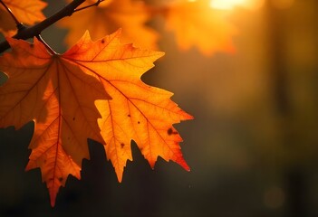 happy thanks giving background