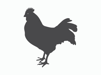 chicken icon. Silhouette of a female chicken icon. Beautiful chicken. Vector illustration. silhouette of a chicken on white