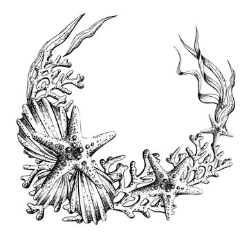 Corals, seaweed, shells, corals and starfish. Hand drawn graphic illustration in black and white color line art. Frame wreath template on a sea theme