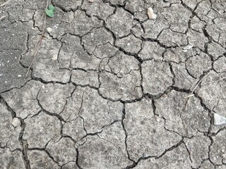 cracked earth background