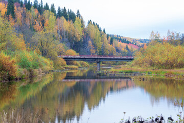 autumn trees reflected in water