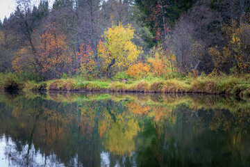 autumn trees reflected in water