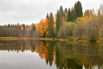 autumn trees reflected in water