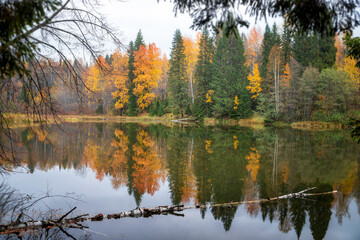 autumn trees reflected in water
