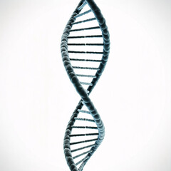 blue dna double helix on white background, 3d rendering science healthcare genome concept