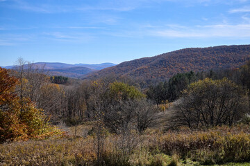 Autumn landscape with mountains. 