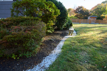 Greem hedge of bushes. Outdoor park in the fall. Landscape photograph.