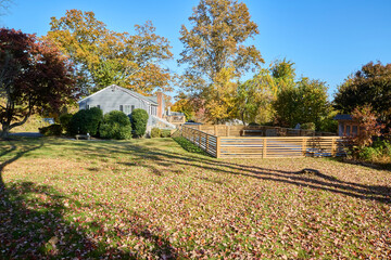 Trees in a park in autumn. Fall landscape photograph. Field with a fence. 