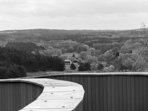 Waldlandschaft