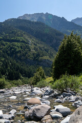 mountain river in the mountains