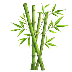 Vibrant bamboo stalks with lush green leaves