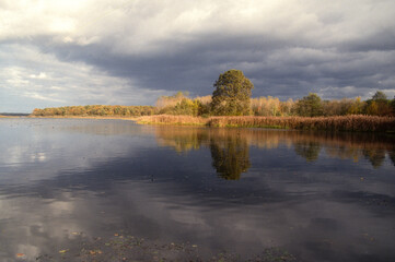 Naklejka premium Etang de La Horre, Réserve naturelle nationale, Parc naturel régional de la forét d'Orient, 10, Aube, France
