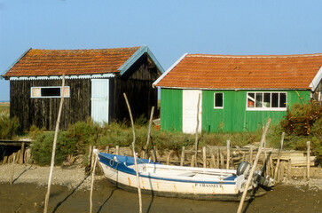 Huitre, Ostrea edulis, Port ostreicole, La Tremblade, 17, Charente Maritime, France