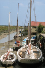 Port ostreicole, Mornac sur Seudre, 17, Charente Maritime, France