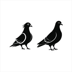 Obraz premium bird on white background -vector illustration