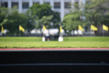 green grasses field in stadium