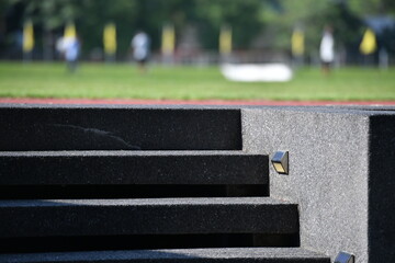 green grasses field in stadium