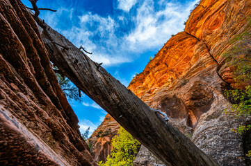 Zion National Park Clear Creek Wash while hiking in the fall of 2024