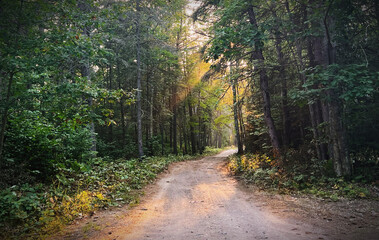 sunlit path