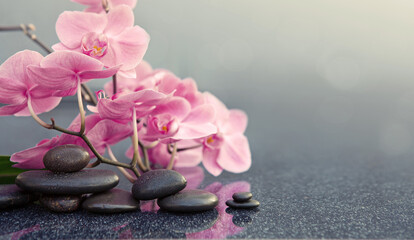 Spa stones and pink orchid flowers on the gray table background.