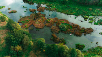 swamp landscape aerial country side nature grass land wet water view vivid colors of spring day time