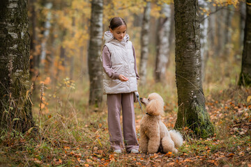 little girl walking with her peach colored poodle dog in autumn park.