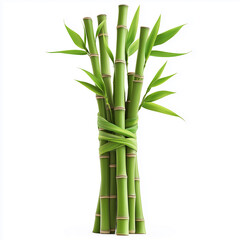 Naklejka premium A bunch of bamboo shoots, with several long, green, tender stalks wrapped around each other on the right side, bamboo green sticks with leaves isolated on a white background,