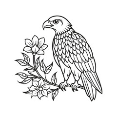 Fototapeta premium Eagle vector illustration Coloring book for children (7)