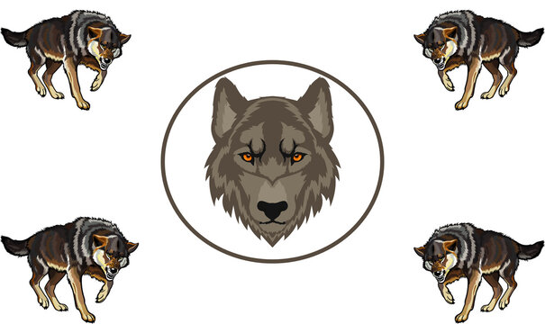 Wolf just look like a dog and wild animal 