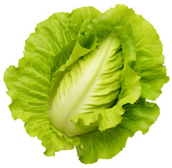 Fresh green lettuce, isolated on a transparent background