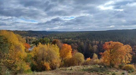 Autumn colors